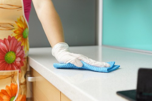 Illustration representing accessible Camden Cleaners website access