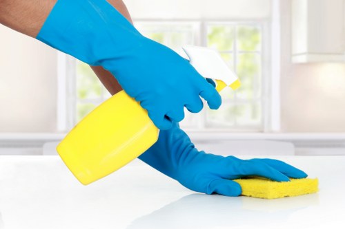 Deep cleaning support for a flat in Camden