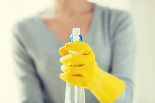 Professional cleaner preparing to clean commercial windows in Camden
