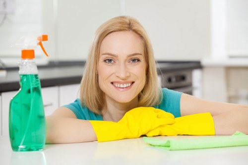 Camden Cleaners detailed cleaning process in progress
