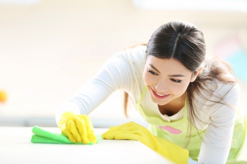 Website performance check related to Camden Cleaners