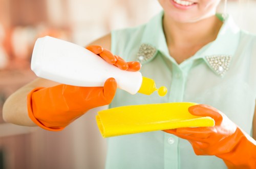 Accessibility help section for Camden Cleaners users