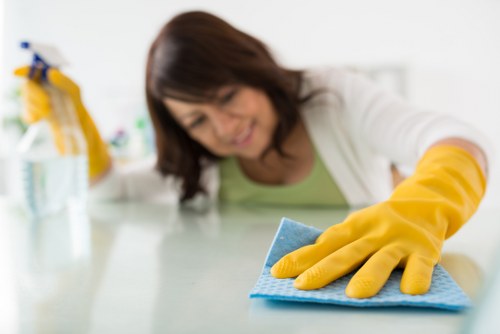 Local technician inspecting carpets before cleaning in Camden