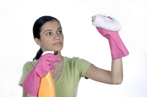 Domestic cleaning tools prepared for a Camden flat cleaning appointment