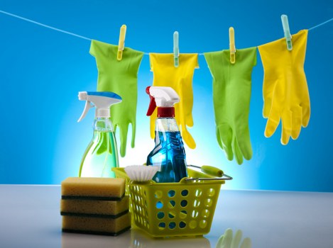 Detailed cleaning of oven racks and interior surfaces in Camden